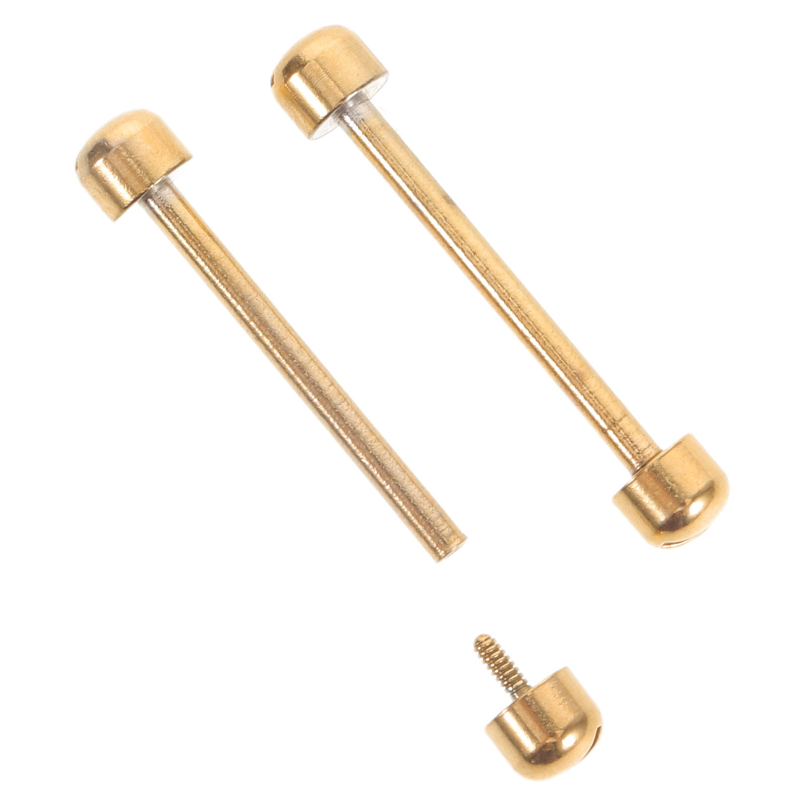 2 pezzi di perni a vite per ci - Replacement Watch Bracelet recensione e prezzo